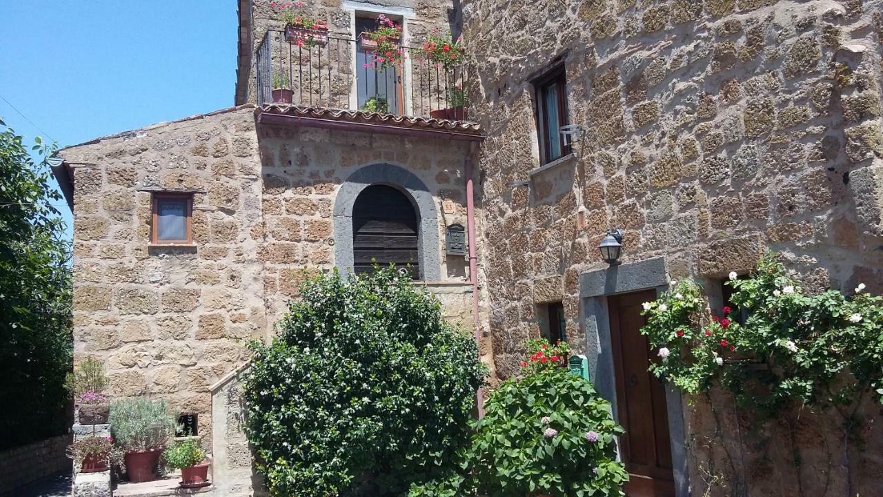 Green House - Blue House Civitella dʼAgliano Exterior foto
