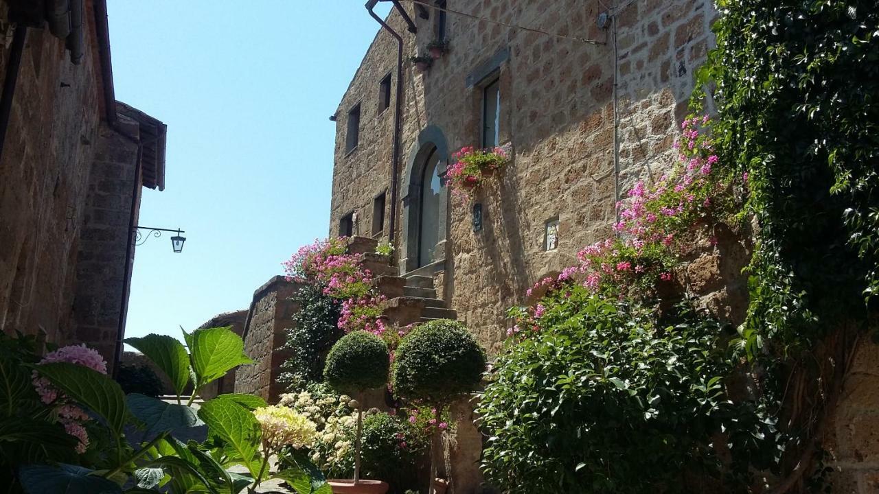 Green House - Blue House Civitella dʼAgliano Exterior foto